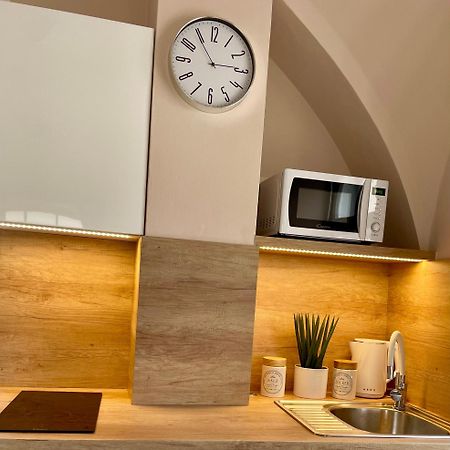 Apartman Dominikanska Litoměřice 외부 사진