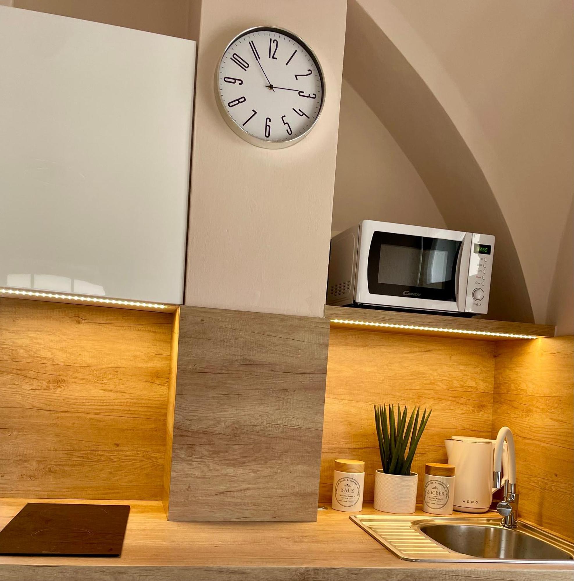 Apartman Dominikanska Litoměřice 외부 사진