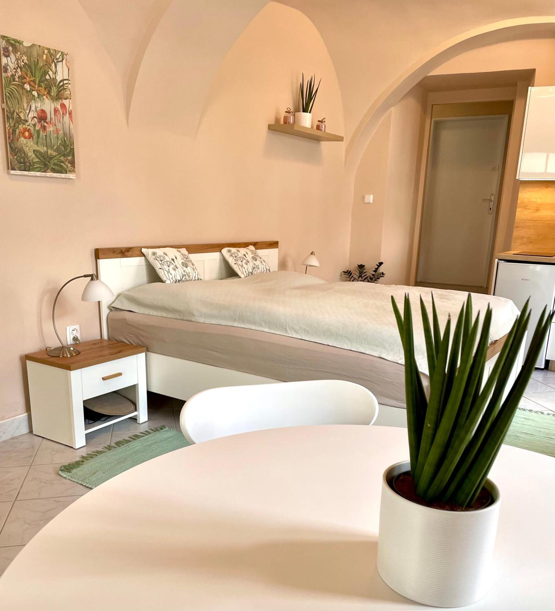 Apartman Dominikanska Litoměřice 외부 사진